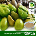 Free Sample from YuenSun green coffee powder extract
